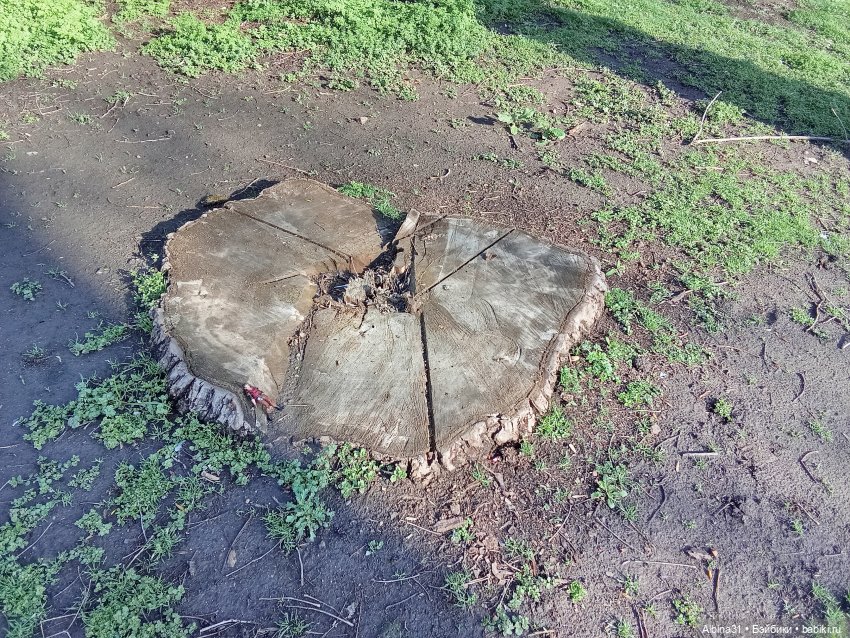 Краснодар. Парк 2025 год — Разные шарнирные куклы (не БЖД): редкие