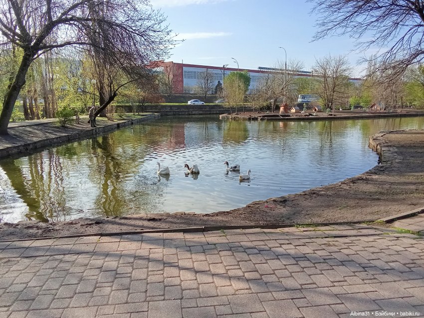 Краснодар. Парк 2025 год — Разные шарнирные куклы (не БЖД): редкие