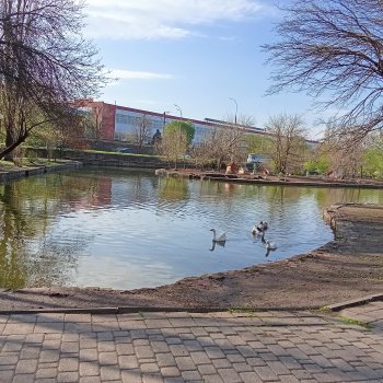 Краснодар. Парк 2025 год