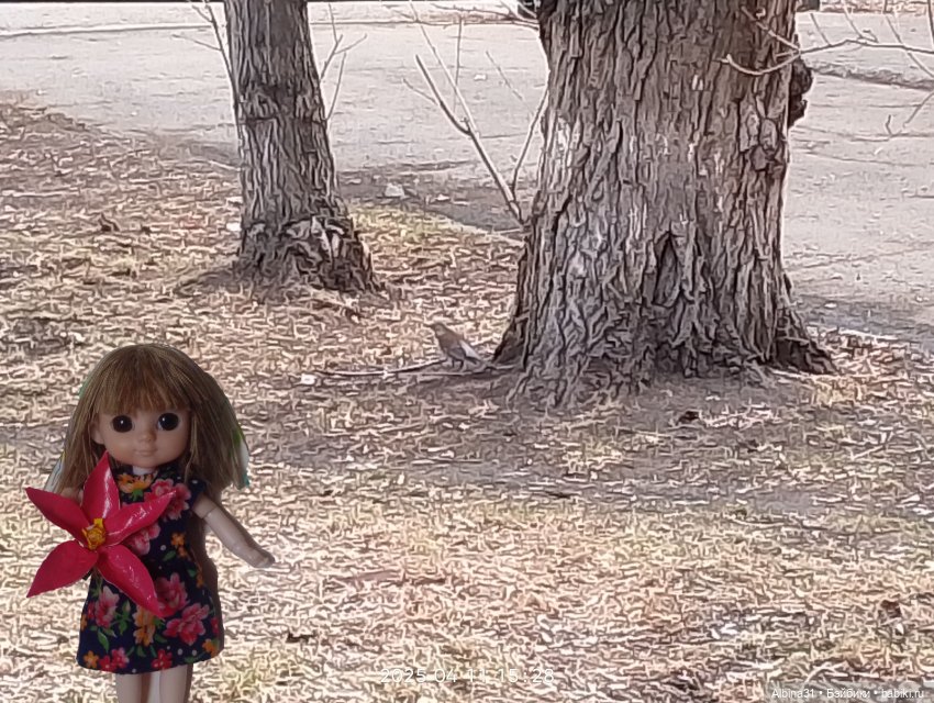 Кукла и весна в Красноярске. 2025 год (фото 7)