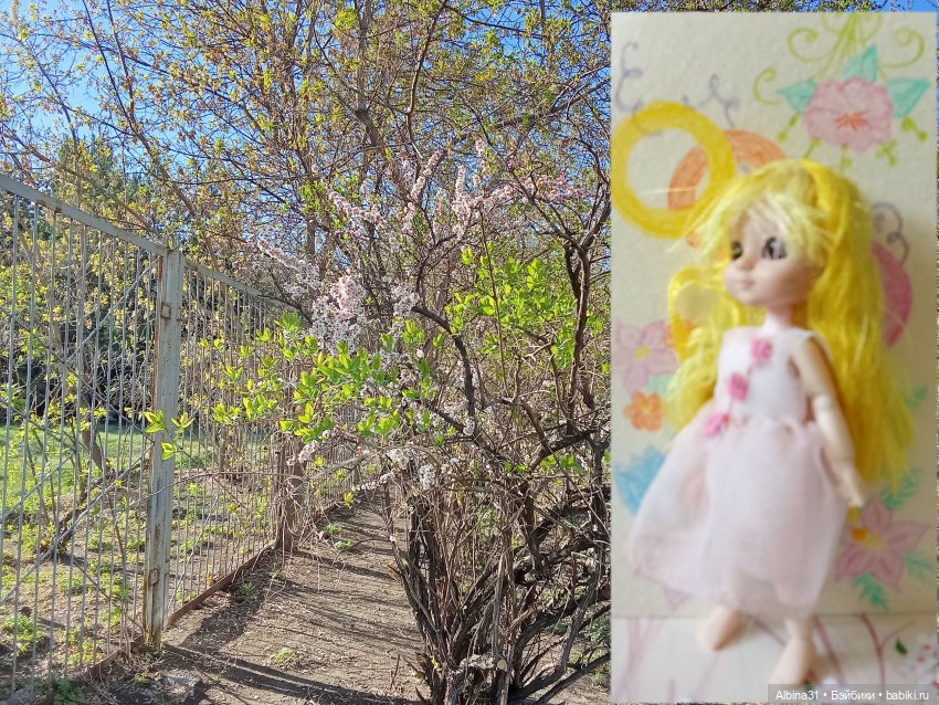 Кукла и весна в Красноярске. 2025 год