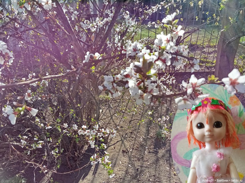 Кукла и весна в Красноярске. 2025 год