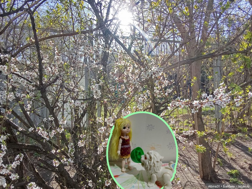 Кукла и весна в Красноярске. 2025 год