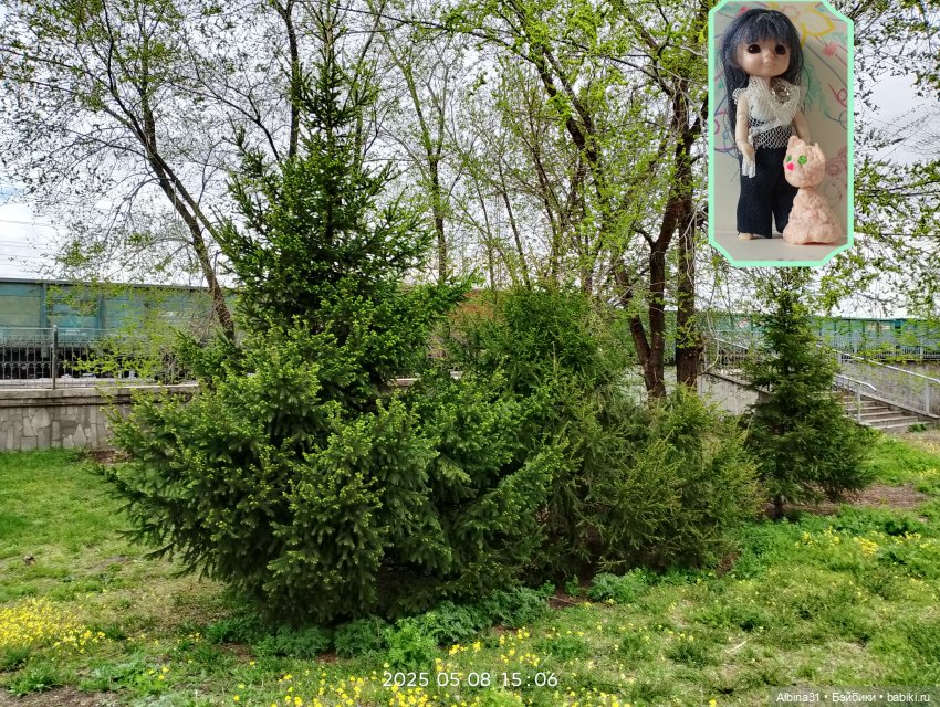 Кукла и весна в Красноярске. 2025 год