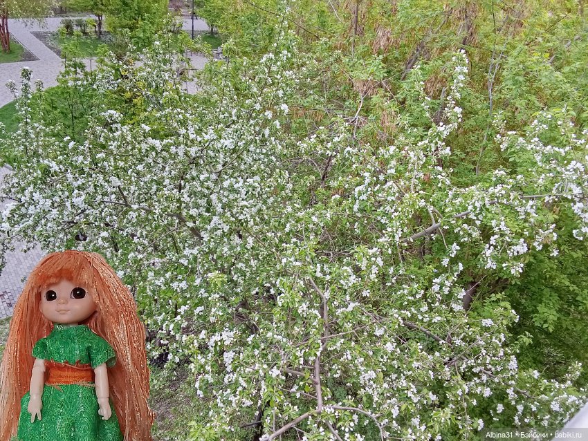 Кукла и весна в Красноярске. 2025 год