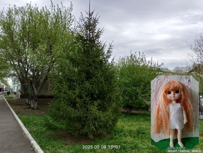 Кукла и весна в Красноярске. 2025 год