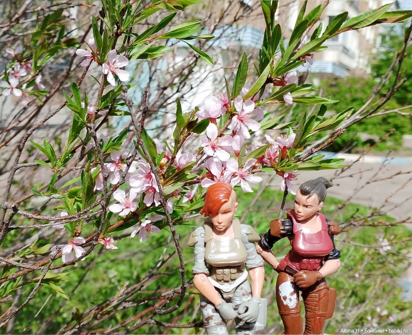 Весна в Красноярске 2025 год