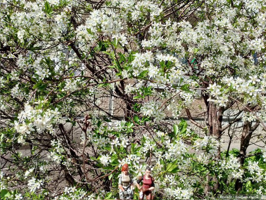 Весна в Красноярске 2025 год