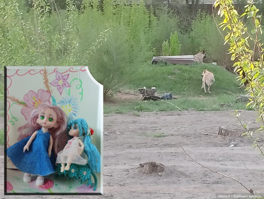 Весна в Красноярске 2025 год (фото 10)