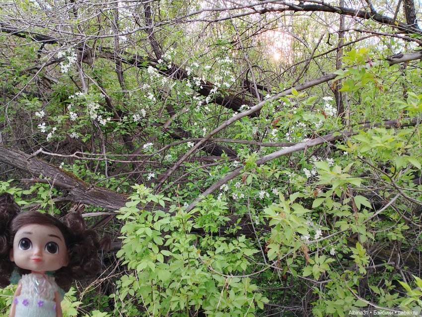 Весна в Красноярске 2025 год (фото 7)