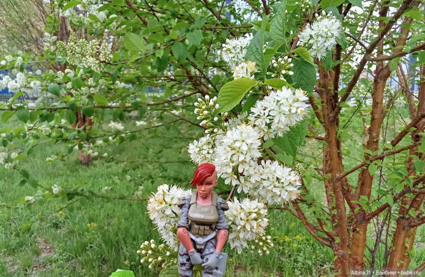 Весна в Красноярске 2025 год (фото 2)