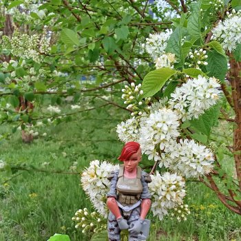 Весна в Красноярске 2025 год