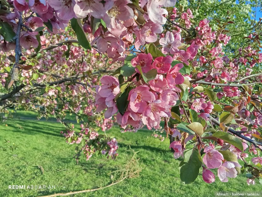 Весна в Красноярске 2025 год