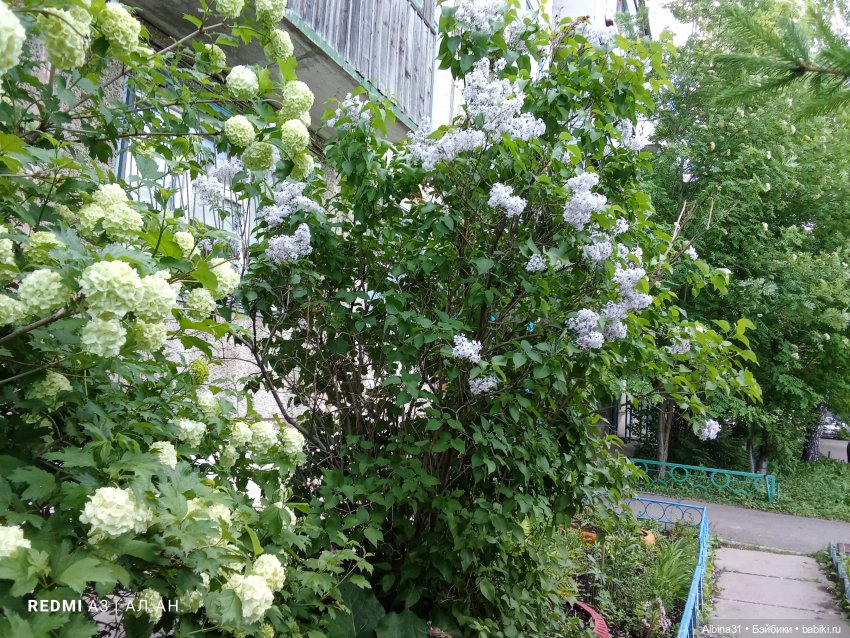 Весна в Красноярске 2025 год