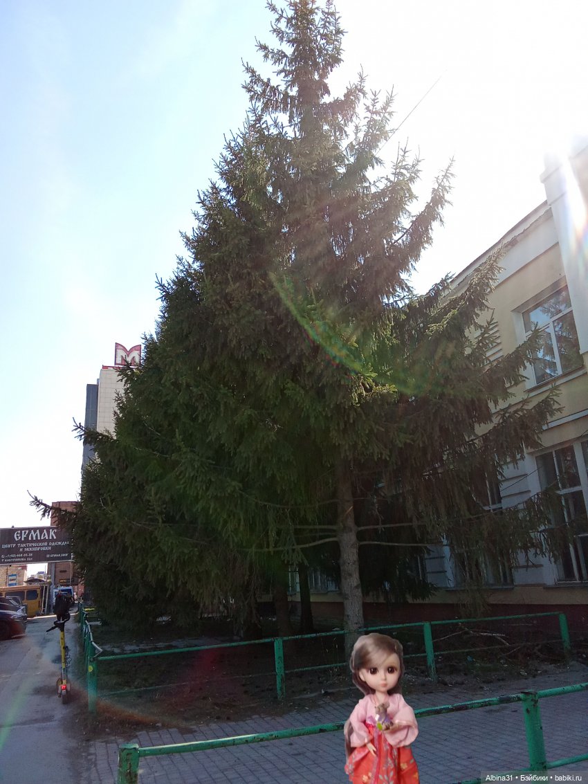 Апрель 2025. Новосибирск — Игровые куклы разных производителей (Разное): редкие бренды