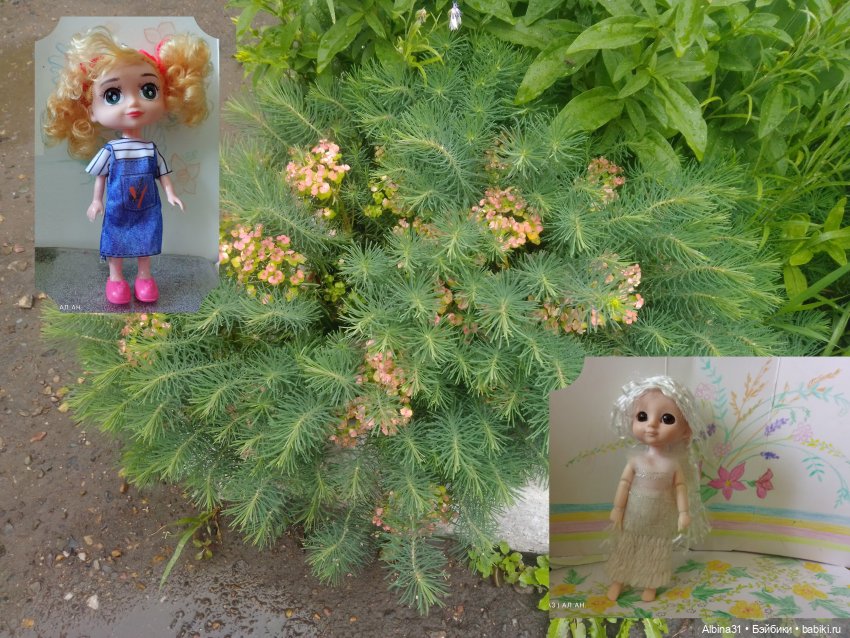 Просто так... Игрушки — Игровые куклы разных производителей (Разное): редкие бренды