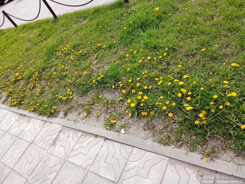 Апрель 2025. Новосибирск. Часть 3