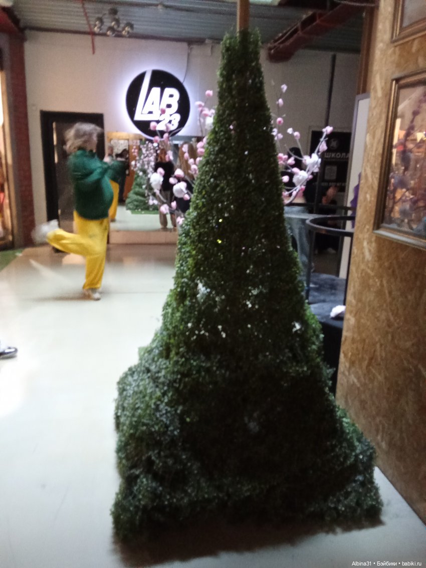 Новосибирск. Апрель 2025 — Туризм и путешествия: фотоотчеты из поездок