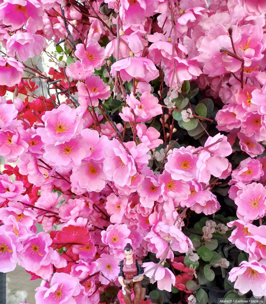 Это было летом 2025 года — Разные шарнирные куклы (не БЖД): редкие (фото 3)