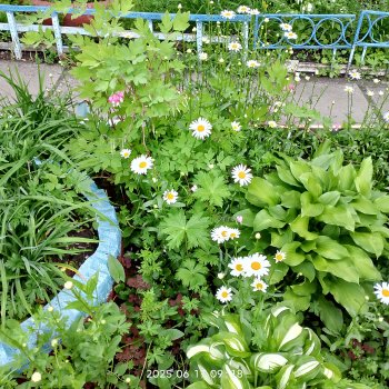 Это было летом 2025 года