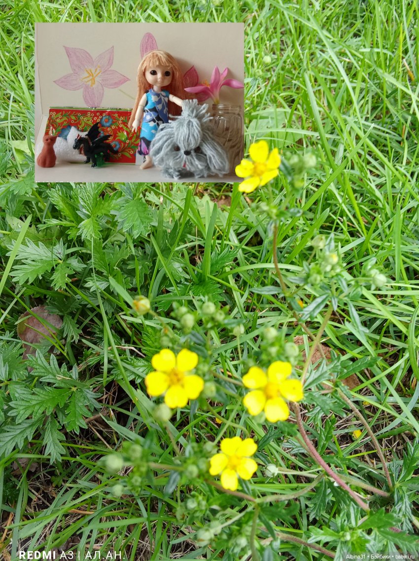 Это было летом 2025 года — Разные шарнирные куклы (не БЖД): редкие (фото 5)
