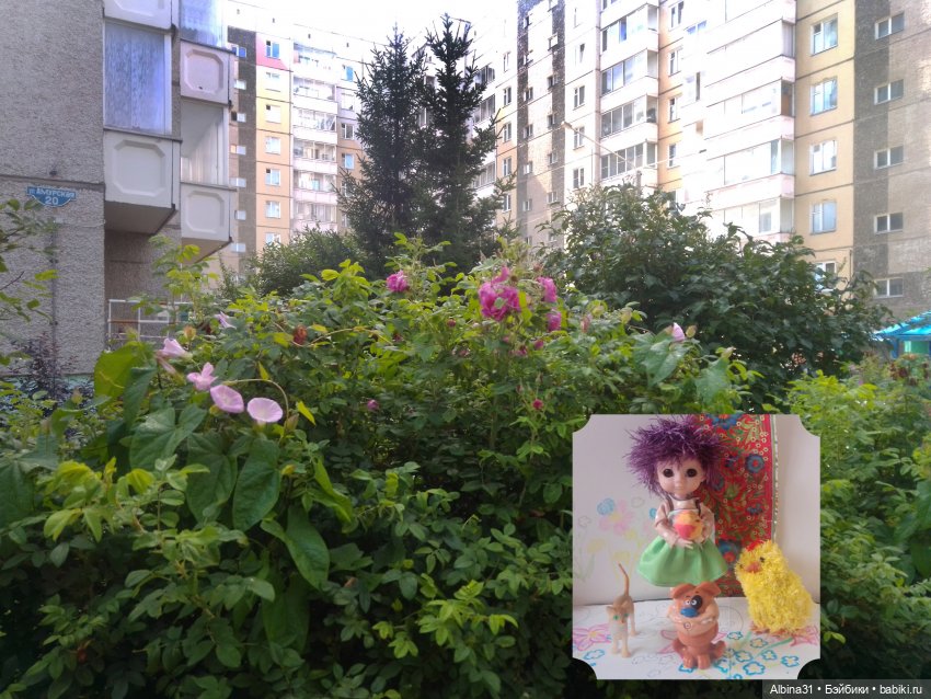 Это было летом 2025 года — Разные шарнирные куклы (не БЖД): редкие (фото 10)