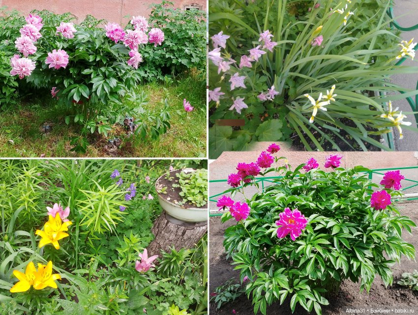 Это было летом 2025 года — Разные шарнирные куклы (не БЖД): редкие