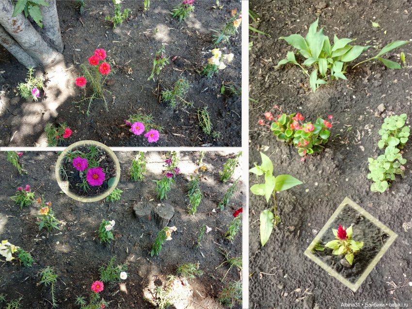 Это было летом 2025 года — Разные шарнирные куклы (не БЖД): редкие