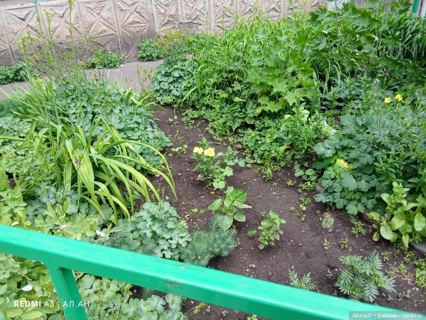 Это было летом 2025 года — Разные шарнирные куклы (не БЖД): редкие