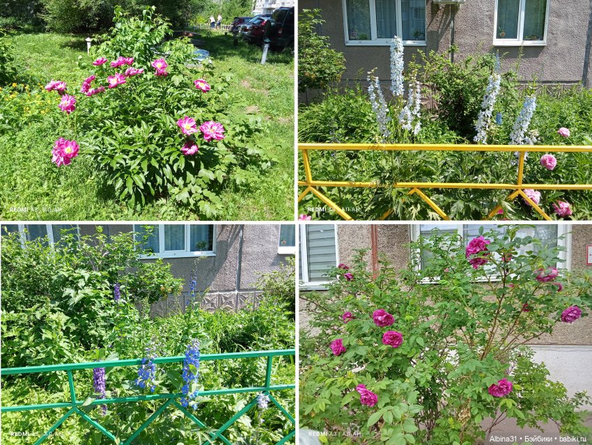 Это было летом 2025 года — Разные шарнирные куклы (не БЖД): редкие