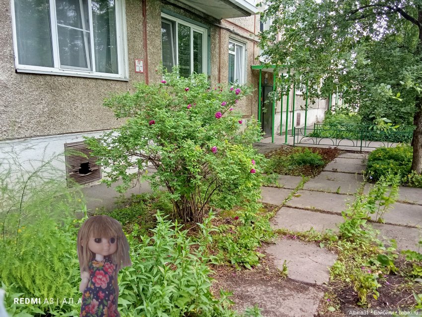 Это было летом 2025 года — Разные шарнирные куклы (не БЖД): редкие