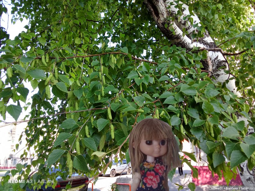 Это было летом 2025 года — Разные шарнирные куклы (не БЖД): редкие