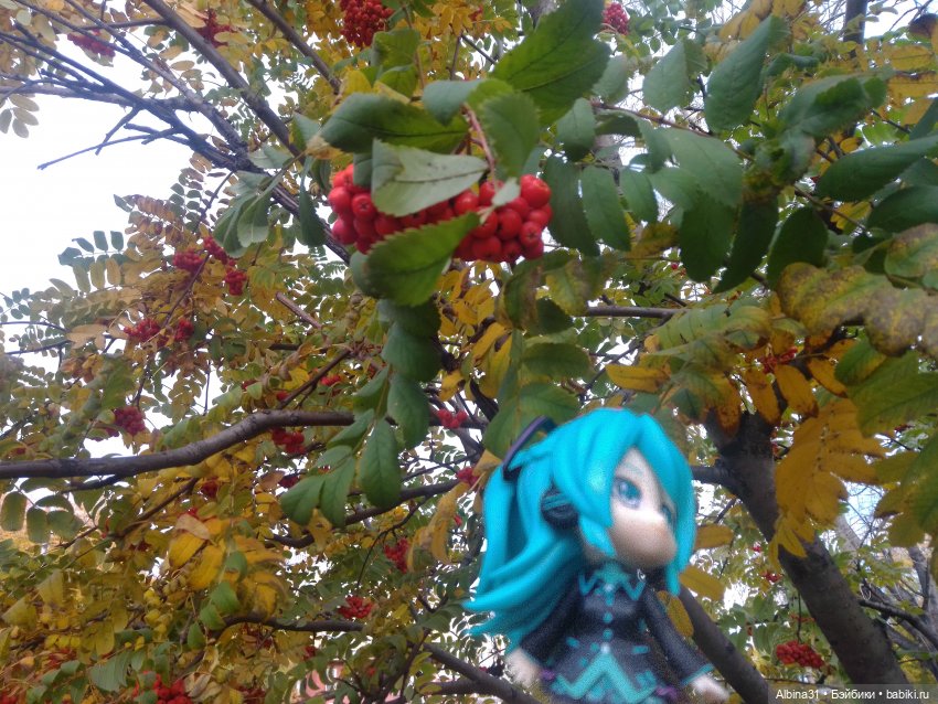 Моя любовь Мику (25,26) — Фигурки Nendoroid (Нендороиды) и Cu (фото 3)