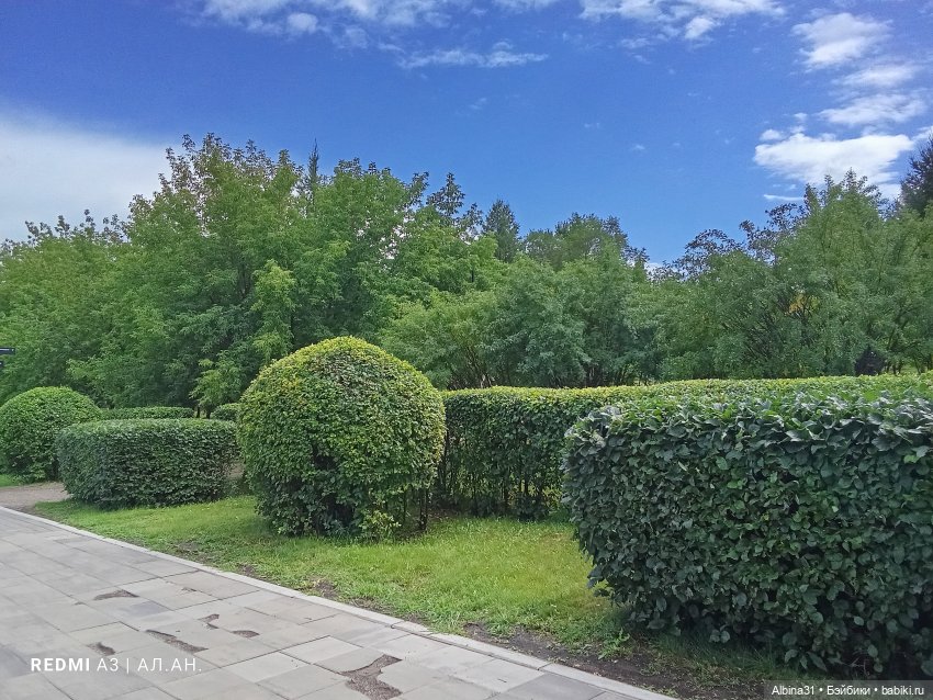 Летние прогулки Принца — Разные шарнирные куклы (не БЖД): редкие