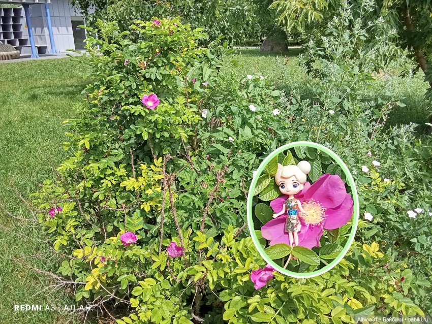 Это было летом 2025 года (2)