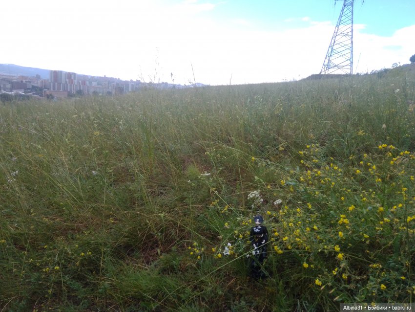 Летние прогулки Принца — Разные шарнирные куклы (не БЖД): редкие (фото 9)