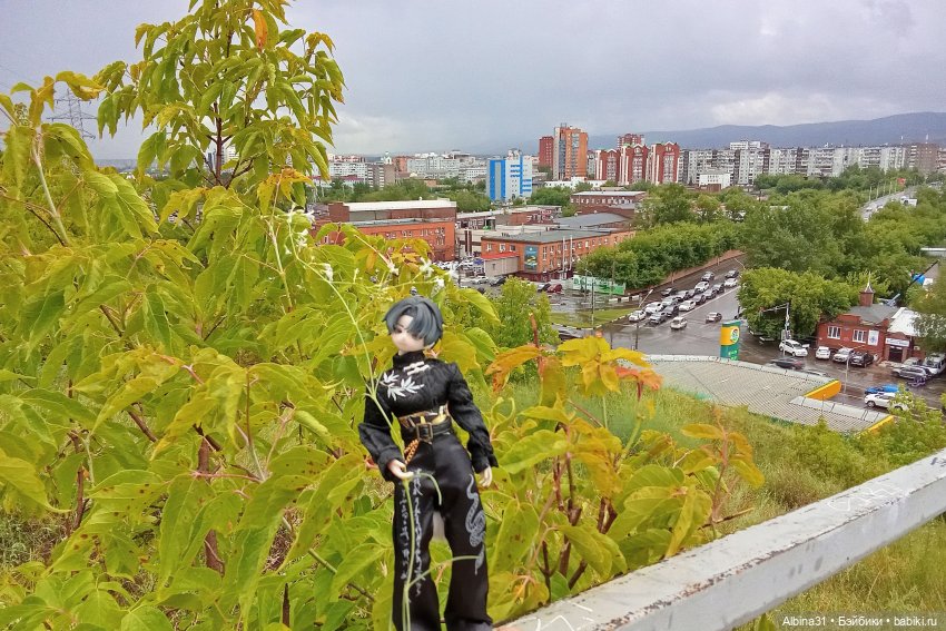 Летние прогулки Принца — Разные шарнирные куклы (не БЖД): редкие (фото 4)