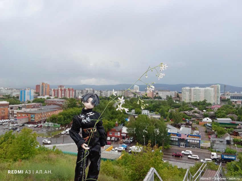 Летние прогулки Принца — Разные шарнирные куклы (не БЖД): редкие (фото 5)