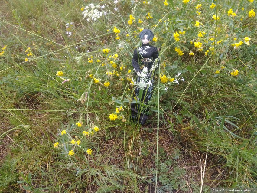 Летние прогулки Принца — Разные шарнирные куклы (не БЖД): редкие (фото 8)