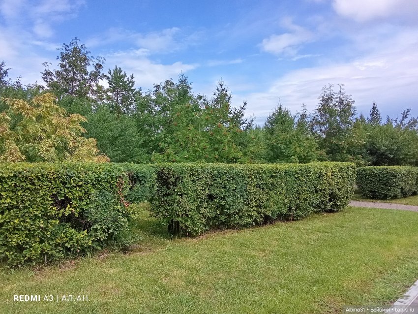 Летние прогулки Принца — Разные шарнирные куклы (не БЖД): редкие