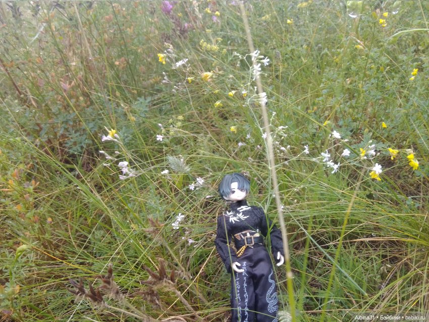 Летние прогулки Принца — Разные шарнирные куклы (не БЖД): редкие (фото 10)