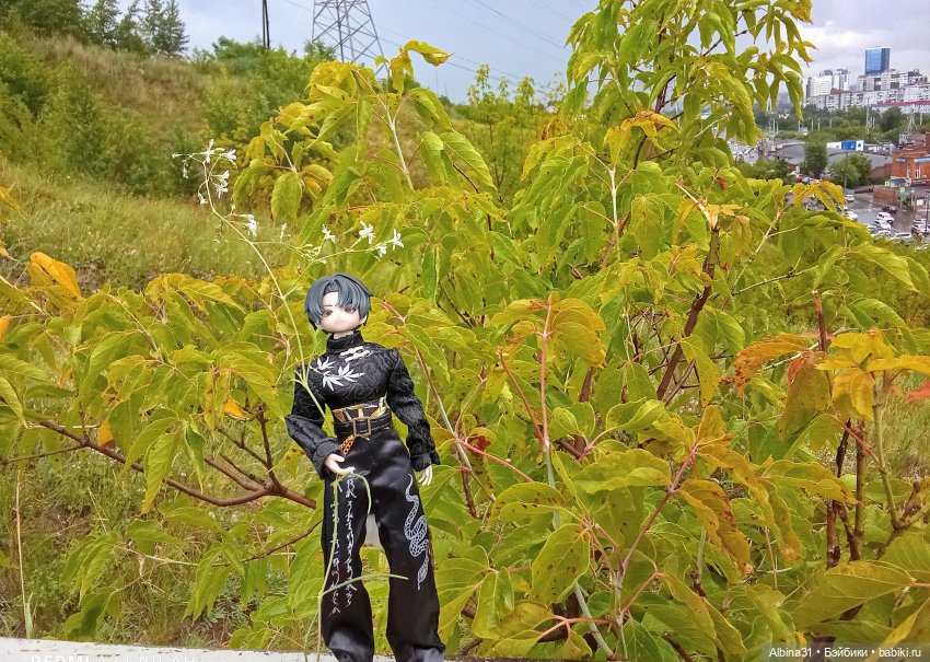 Летние прогулки Принца — Разные шарнирные куклы (не БЖД): редкие (фото 3)