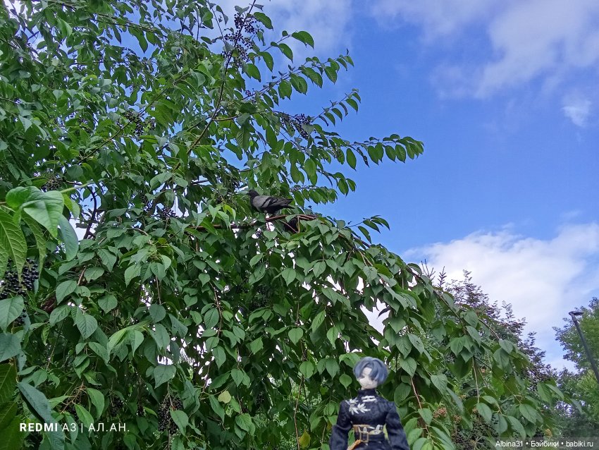 Летние прогулки Принца — Разные шарнирные куклы (не БЖД): редкие