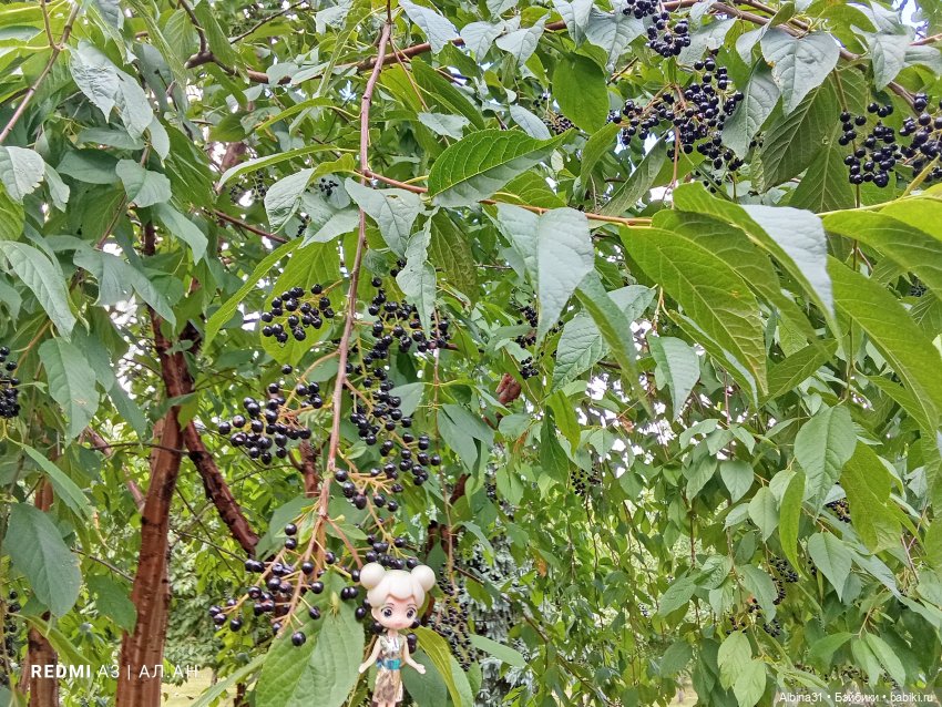 Это было летом 2025 года (2) (фото 5)