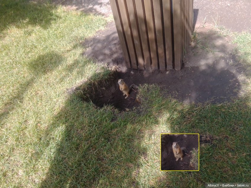 Это было летом 2025 года (2) (фото 6)