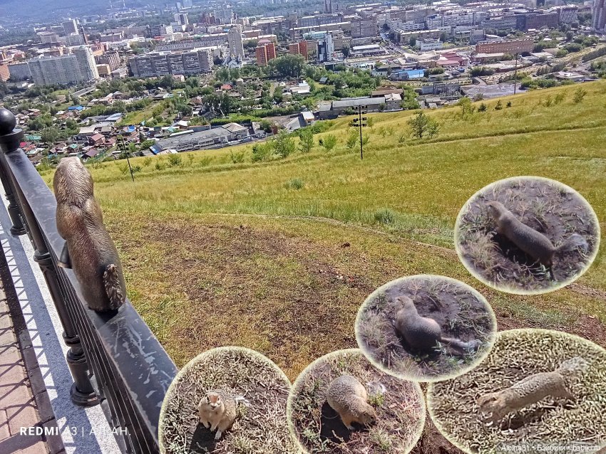 Это было летом 2025 года (2) (фото 4)