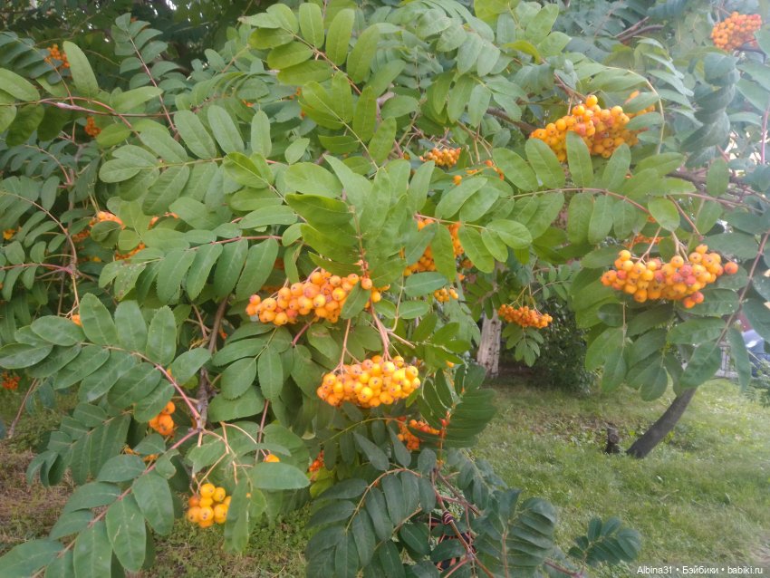 Это было летом 2025 года (2)