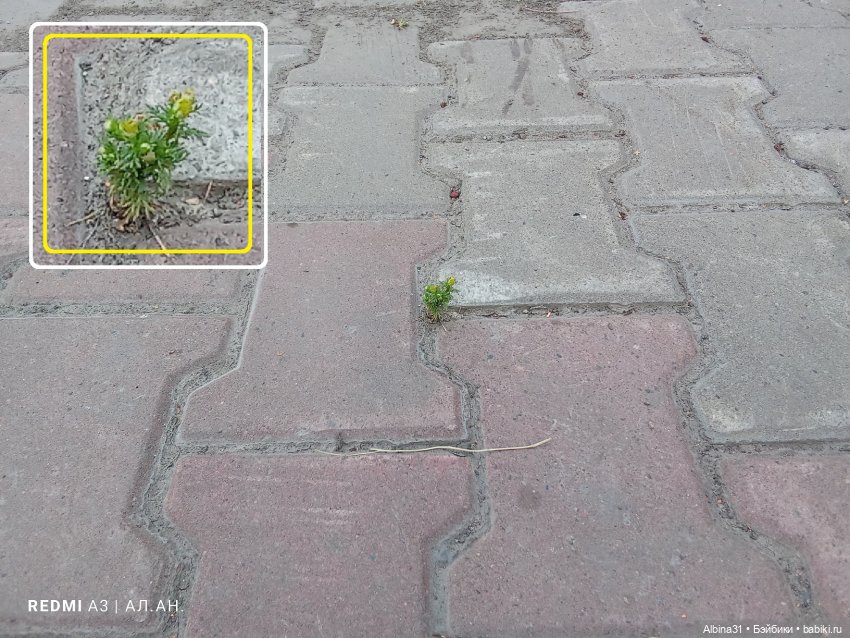 Это было летом 2025 года (2)