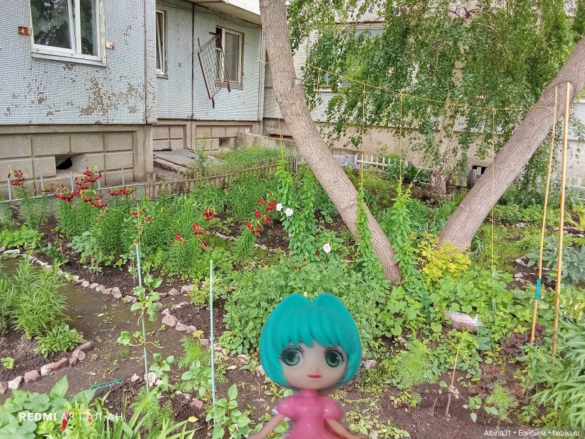 Это было летом 2025 года (2)