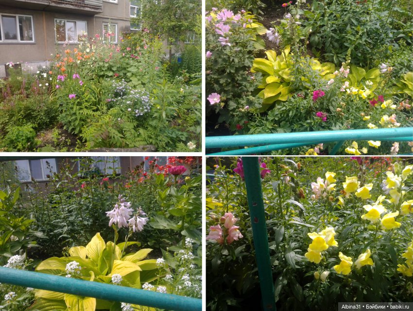 Это было летом 2025 года (2)